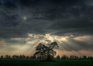 Before The Storm Best Background Full HD1920x1080p, 1280x720p, - HD Wallpapers Backgrounds Desktop, iphone & Android Free Download